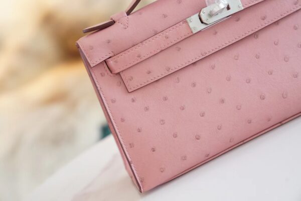 Wholesale Hermes 94 Terre Cuite KK Ostrich Skin Kelly Pochette22cm Clutch Bag