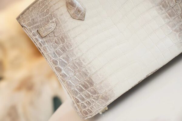 Full Handmade Hermes Himalaya HCP Niloticus Crocodile Birkin25CM Silver Hardware