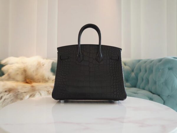 Hermes Shop CK89 Nior Birkin 25CM HCP Matte Alligator Silver Hardware