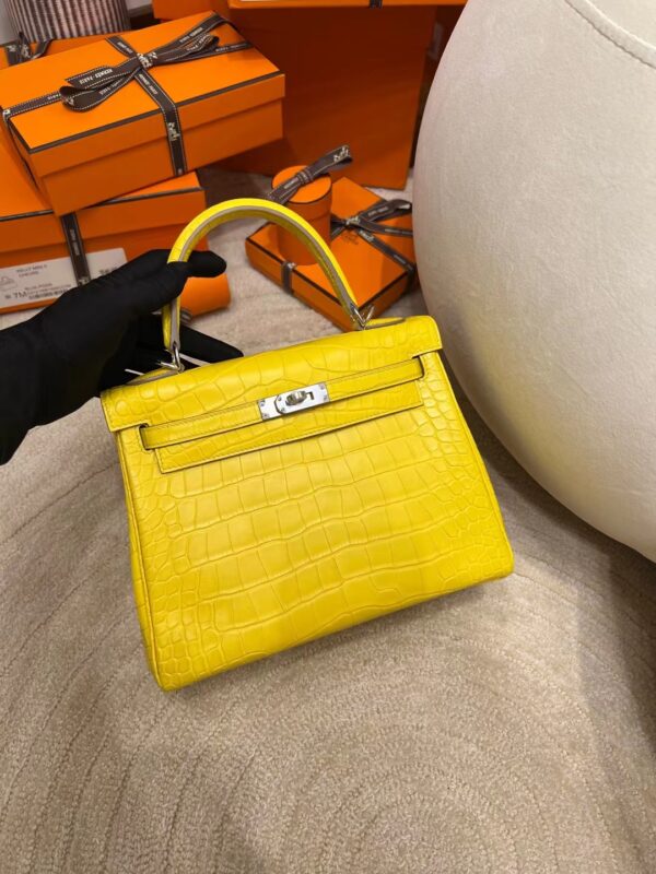 Hermes Shop Kelly 25CM Matte Alligator M9 Mimosa Silver Hardware