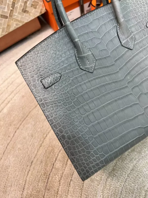 Hermes Birkin Sellier 25CM Matte Alligator 0W Gris Neve Gold Hardware