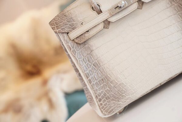 Full Handmade Hermes Himalaya HCP Niloticus Crocodile Birkin25CM Silver Hardware