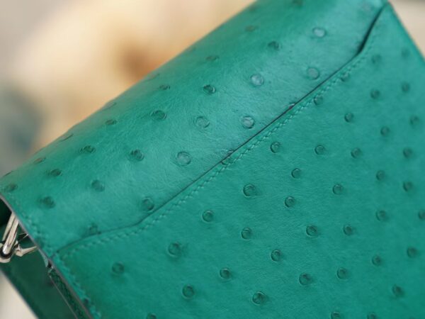 Sale GPCMode Hermes Roulis Mini18cm U4 Vert Vertigo KK Ostrich Leather Silver Hardware
