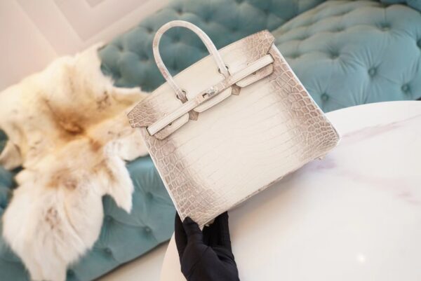 Full Handmade Hermes Himalaya HCP Niloticus Crocodile Birkin25CM Silver Hardware