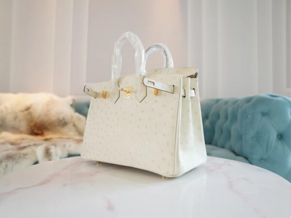 GPCMode Factory Hermes 8L Beton South Africa KK Ostrich Birkin Bag25CM