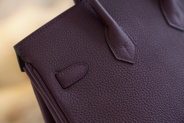 USA New York Hermes Birkin 25CM Togo 59 Raisin Gold Hardware