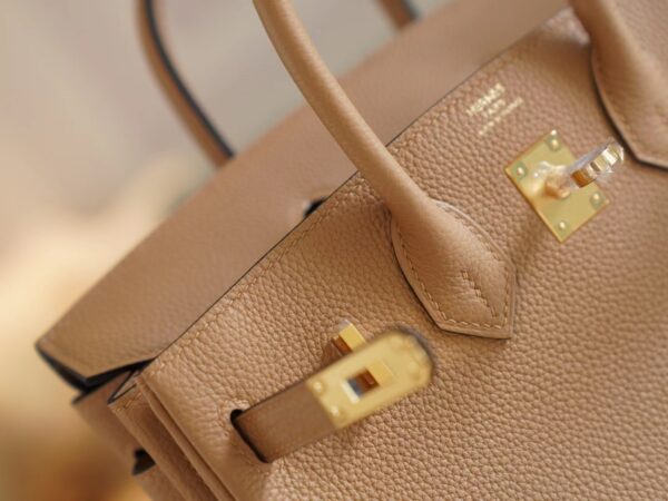 Fashion Lcmode Hermes 4B Biscuit Togo Leather Birkin25CM Women’s Bag Gold Hardware