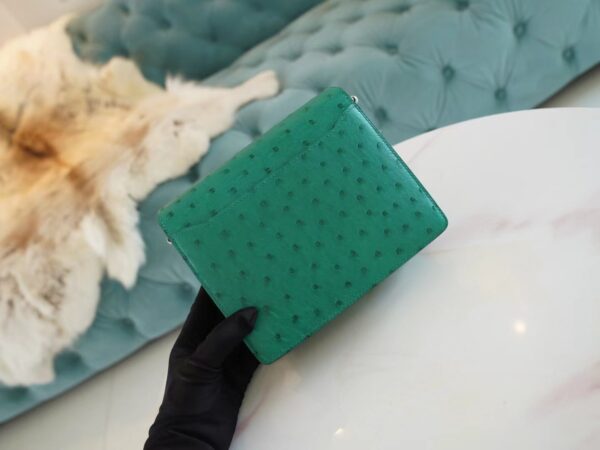 Sale GPCMode Hermes Roulis Mini18cm U4 Vert Vertigo KK Ostrich Leather Silver Hardware
