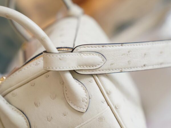 Special Order Hermes South KK Ostrich Mini Lindy 19CM I2 Nata Gold Hardware