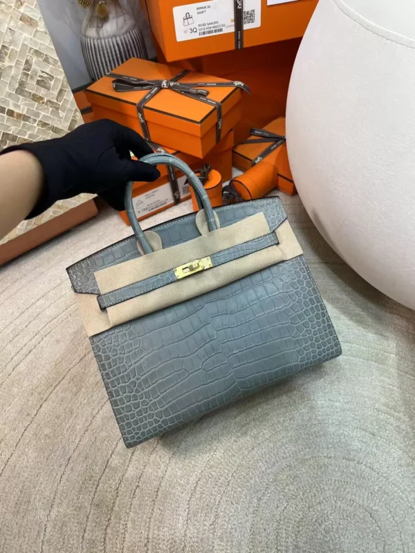 Hermes Birkin Sellier 25CM Matte Alligator 0W Gris Neve Gold Hardware