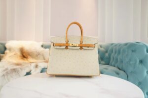 GPCMode Hermes Birkin Bag25CM 3C Parchemin/1H Toffe KK Ostrich Leather Gold Hardware