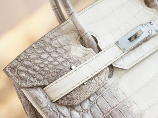 Hong Kong Hermes Birkin 30CM Himalaya Matte Niloticus Crocodile Gold Hardware