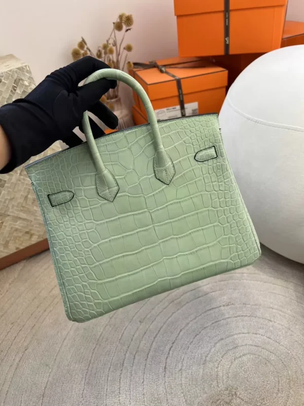 Hong Kong Hermes 6U Vert D’eau Matte Alligator Crocodile Birkin 25CM Silver Hardware