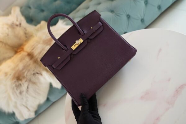 USA New York Hermes Birkin 25CM Togo 59 Raisin Gold Hardware