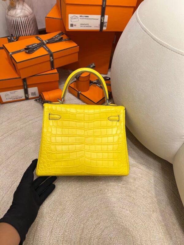 Hermes Shop Kelly 25CM Matte Alligator M9 Mimosa Silver Hardware