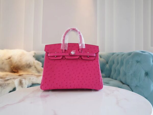 GPCMode Hermes Birkin Bag25CM E5 Rose Tyrien South Africa KK Ostrich Skin
