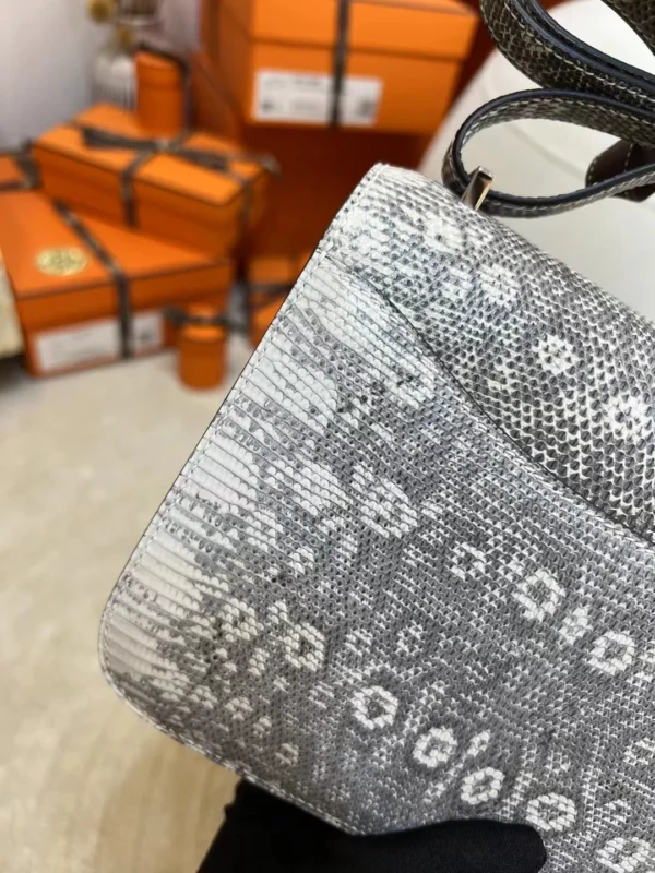 Hermes Ombre Lizard Leather Constance 19CM Silver Hardware