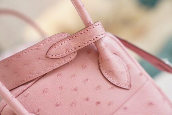 Full Handmade Hermes 94 Terre Cuite KK Ostrich Leather Lindy 26CM Silver Hardware
