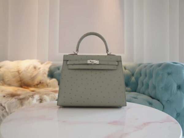 Hermes Shop Kelly 25CM KK Ostrich 8U Blue Glacier Silver Hardware