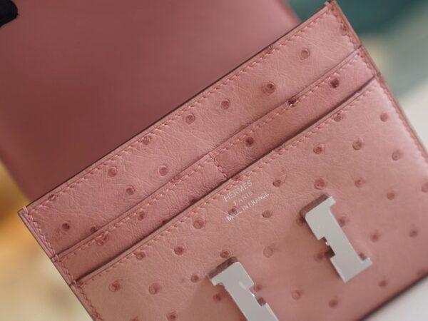 Sale GPCMode Hermes 94 Terre Cuite Ostrich Leather Constance Wallet Silver Hardware