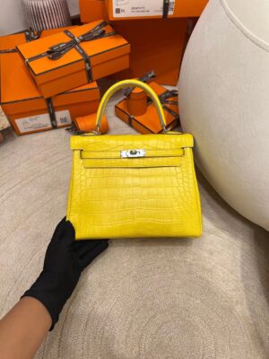 3d64d1bcee1f0b6 Hermes Shop Kelly 25CM Matte Alligator M9 Mimosa Silver Hardware