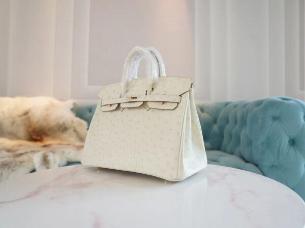 GPCMode Factory Hermes 8L Beton South Africa KK Ostrich Birkin Bag25CM