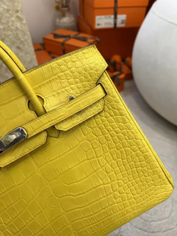 New Hermes Matte Alligator Crocodile M9 Mimosa Birkin 25CM Silver Hardware