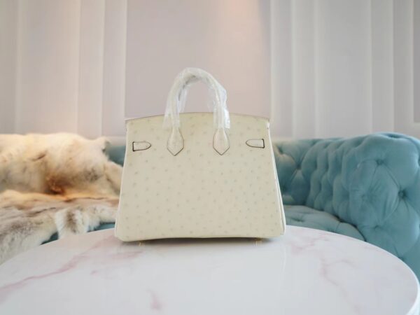 GPCMode Factory Hermes 8L Beton South Africa KK Ostrich Birkin Bag25CM