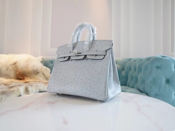 Discount Hermes 8U Blue Glacier South Africa KK Ostrich Birkin25CM Tote Bag