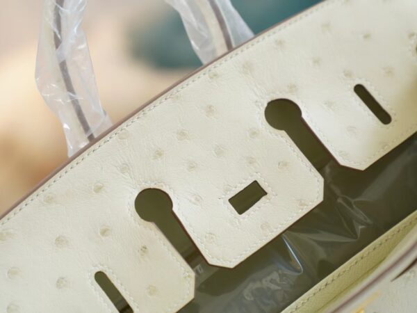 GPCMode Factory Hermes 8L Beton South Africa KK Ostrich Birkin Bag25CM