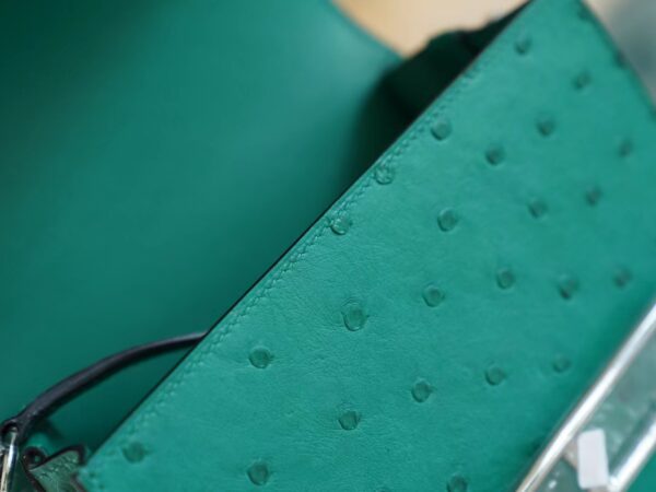 Sale GPCMode Hermes Roulis Mini18cm U4 Vert Vertigo KK Ostrich Leather Silver Hardware
