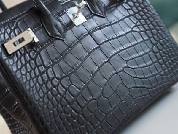 Hermes Shop CK89 Nior Birkin 25CM HCP Matte Alligator Silver Hardware