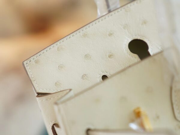 GPCMode Factory Hermes 8L Beton South Africa KK Ostrich Birkin Bag25CM