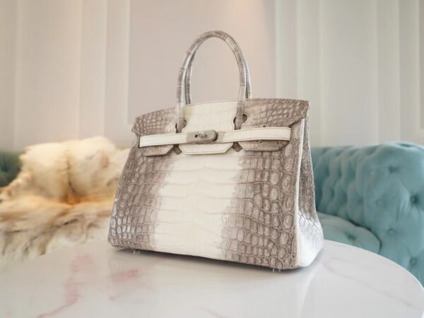Hong Kong Hermes Birkin 30CM Himalaya Matte Niloticus Crocodile Gold Hardware