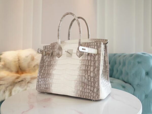 Hong Kong Hermes Birkin 30CM Himalaya Matte Niloticus Crocodile Gold Hardware
