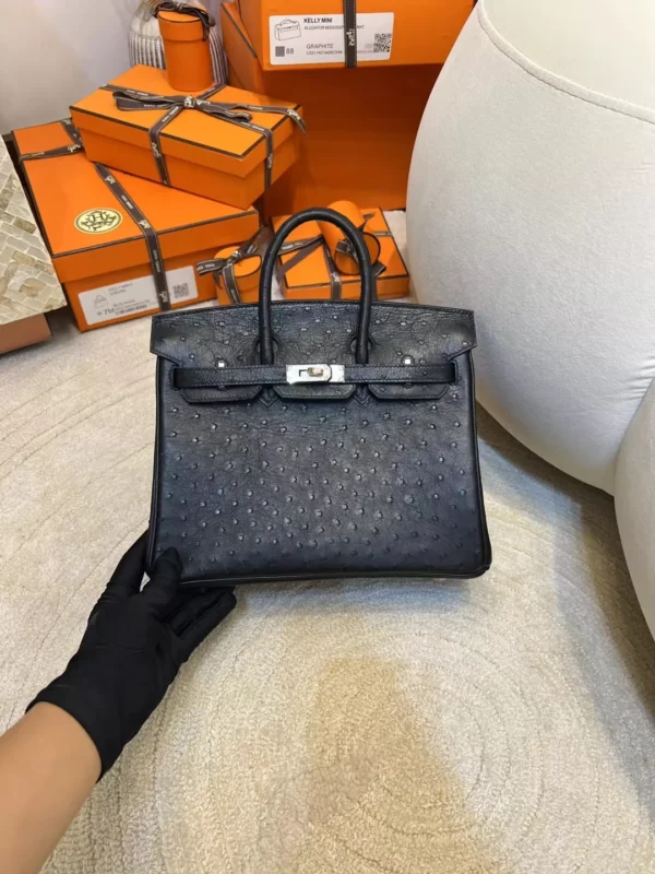 Hong Kong Hermes KK Ostrich Birkin 25CM 89 Noir Silver Hardware