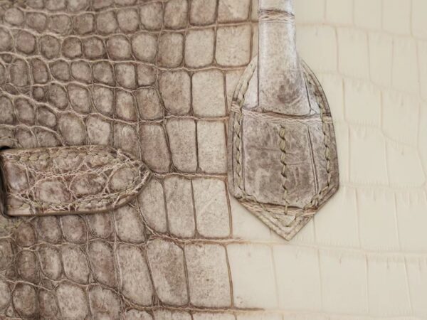 Hong Kong Hermes Birkin 30CM Himalaya Matte Niloticus Crocodile Gold Hardware