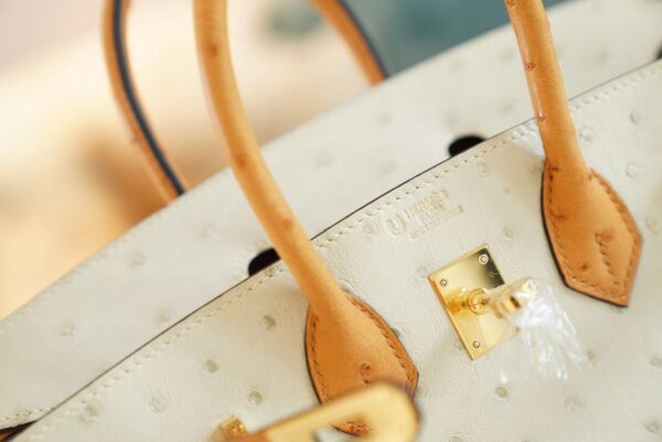 GPCMode Hermes Birkin Bag25CM 3C Parchemin/1H Toffe KK Ostrich Leather Gold Hardware