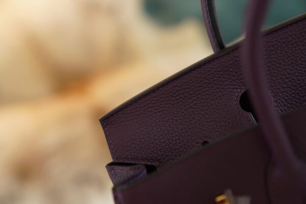 USA New York Hermes Birkin 25CM Togo 59 Raisin Gold Hardware