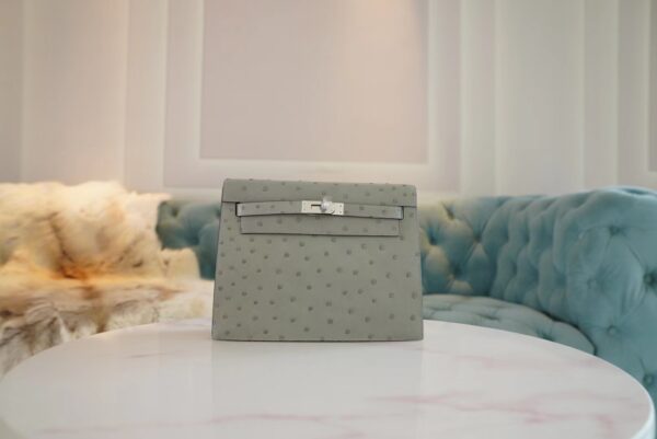 Canada Ottawa Hermes Kelly Danse 22CM KK Ostrich 8U Blue Glacier Silver Hardware
