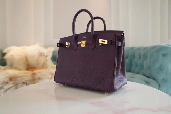 USA New York Hermes Birkin 25CM Togo 59 Raisin Gold Hardware