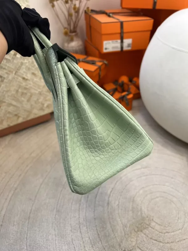 Hong Kong Hermes 6U Vert D’eau Matte Alligator Crocodile Birkin 25CM Silver Hardware