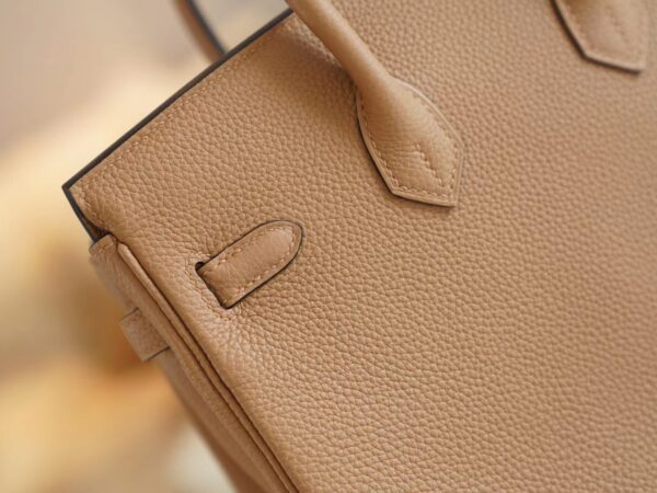Fashion Lcmode Hermes 4B Biscuit Togo Leather Birkin25CM Women’s Bag Gold Hardware