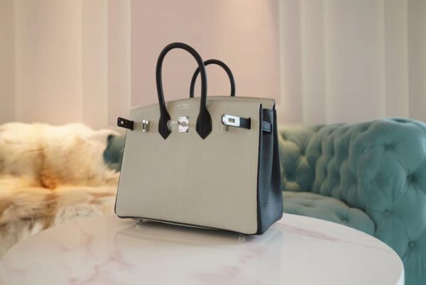 GPCMode Factory Hermes C80 Gris Pearl/CK89 Black Chevre Leather Birkin25CM Silver Hardware
