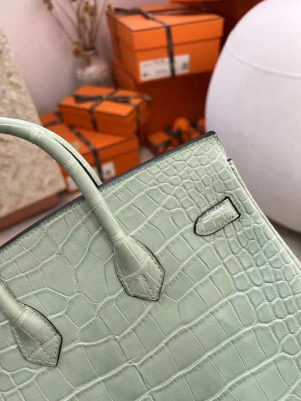 Hong Kong Hermes 6U Vert D’eau Matte Alligator Crocodile Birkin 25CM Silver Hardware