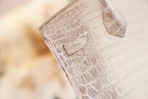 Full Handmade Hermes Himalaya HCP Niloticus Crocodile Birkin25CM Silver Hardware