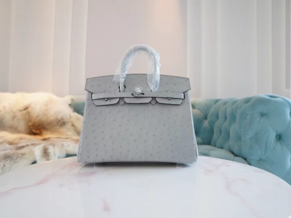 Discount Hermes 8U Blue Glacier South Africa KK Ostrich Birkin25CM Tote Bag