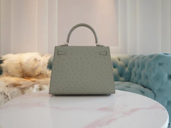 Hermes Shop Kelly 25CM KK Ostrich 8U Blue Glacier Silver Hardware