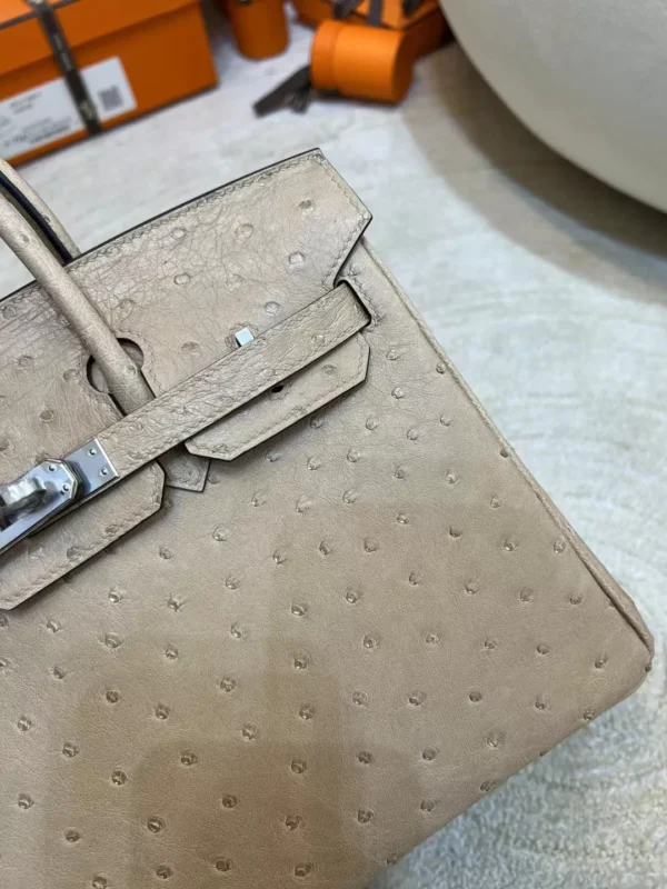 Australia Sydney Birkin 25CM 0M Chai KK Ostrich Leather Silver Hardware
