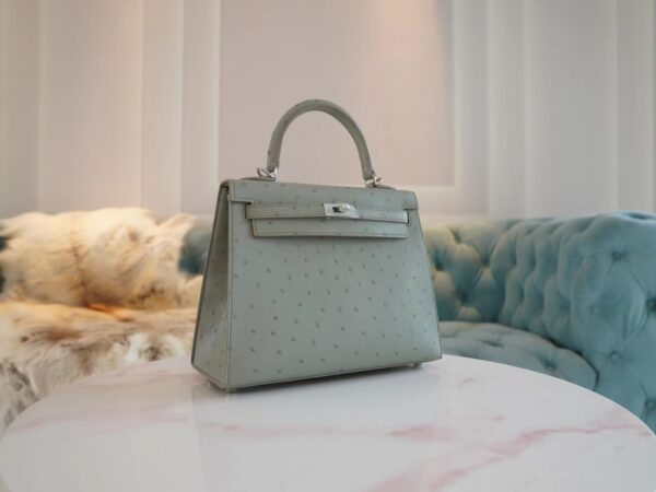 Hermes Shop Kelly 25CM KK Ostrich 8U Blue Glacier Silver Hardware
